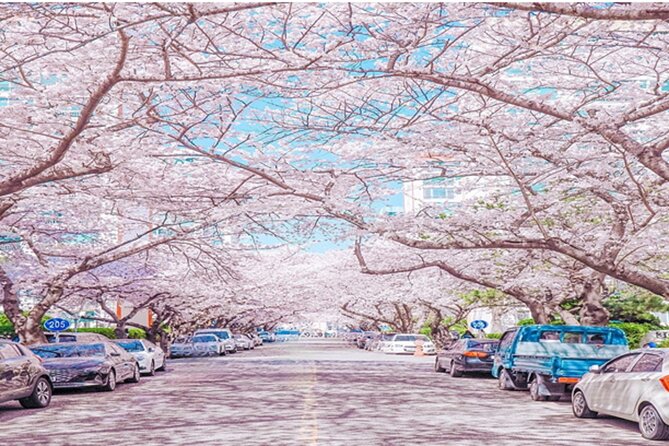 Busan Cruise Port – Premium Small Group Tour (Max 6 Guests) - Naeri-gil hanok streets: traditional houses without the slow museum pace