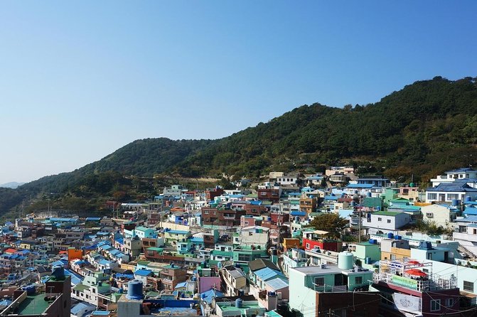 Busan Highlights Shore Tour – Cruise Return Assured - Key things to know before you go