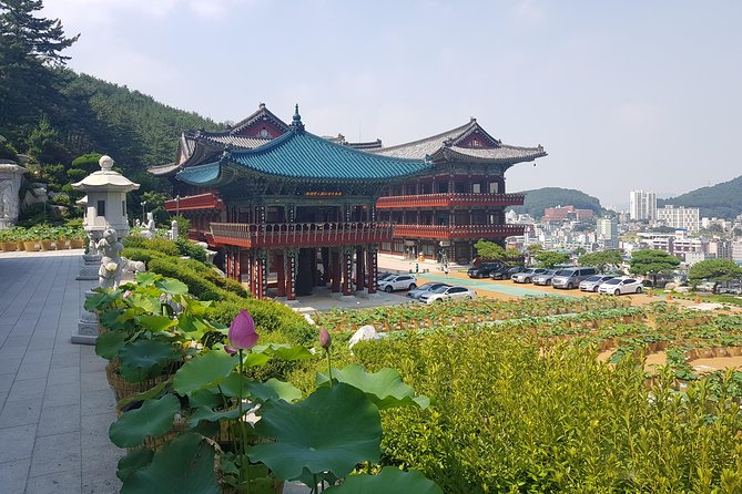 Busan Highlights Shore Tour – Cruise Return Assured - BIFF Square and the market corridor: mix of modern and postwar roots