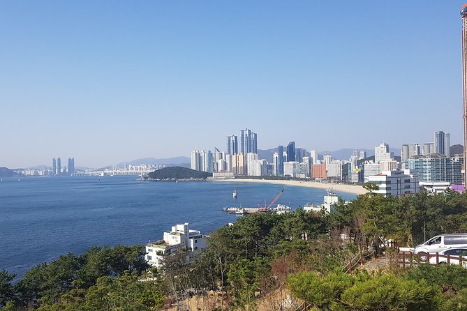 Busan Shore Excursion; Private City Tour - Key Points I Think You’ll Care About