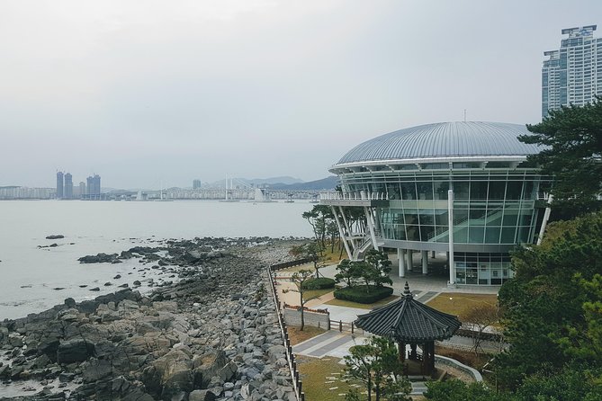 Busan Shore Excursion; Private City Tour - Why Busan’s “One-Day” Plan Actually Works