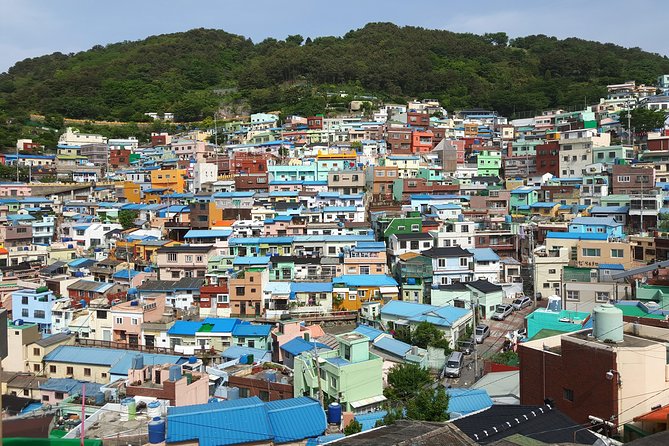 Busan Shore Excursion; Private City Tour - Haedong Yonggungsa: A Coastline Temple You’ll Actually Remember