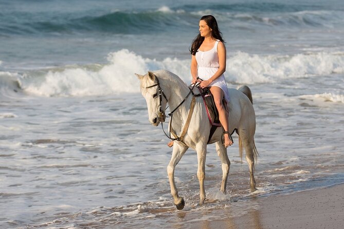 Cabo Shore Excursion: Beach Horseback Ride & Tequila Tasting - The ride route: desert to white sand at Playa Migrino