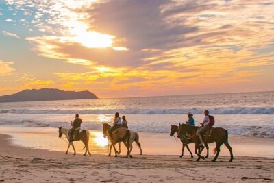 Cabo Shore Excursion: Beach Horseback Ride & Tequila Tasting - Getting there from the Cabo port area without losing your tender window