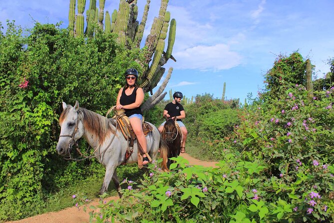 Cabo Shore Excursion: Beach Horseback Ride & Tequila Tasting - Los Cabos and El Arco: what those stops add to the day