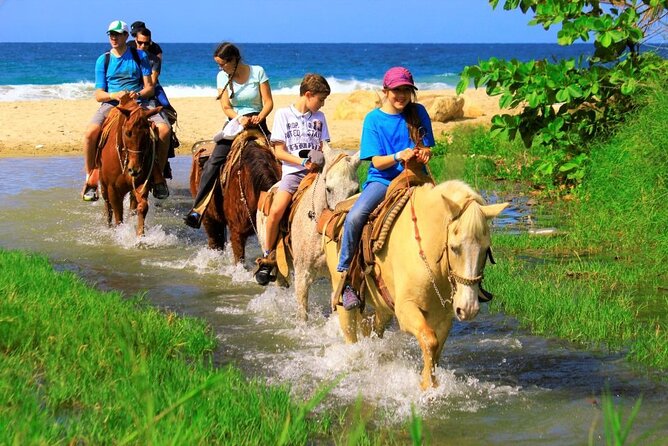 Cabo Shore Excursion: Beach Horseback Ride & Tequila Tasting - Tequila tasting at the end: what to expect without the hype