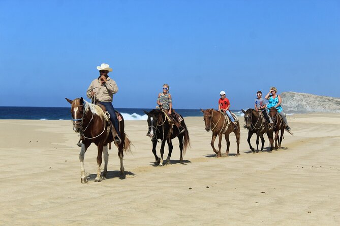 Cabo Shore Excursion: Beach Horseback Ride & Tequila Tasting - Guides and horse matching: why this tour works even for beginners