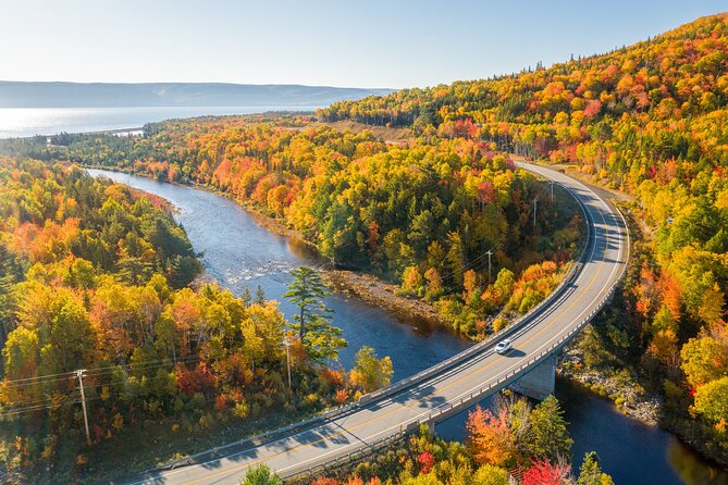 Cabot Trail Bus Tour for Cruise Excursion - Comfort and Group Size: Up to 14 Means You’ll Actually Move
