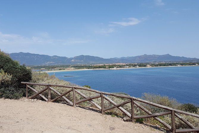 Cagliari Private Shore Excursion: Nora Archaeological Site and Pula Town - Who should book this tour (and who might want a different plan)