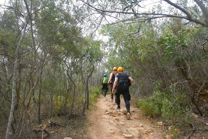 Cagliari Shore Excursion: Professional Guided Coasteering - From Cagliari port to Chia: the 45-minute ride and why timing matters