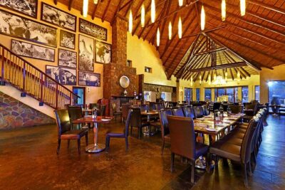 Cape Town Shore Excursion: Big Five Game Reserve from Cape Town - Who This Safari Is Best For (and Who Should Look Elsewhere)