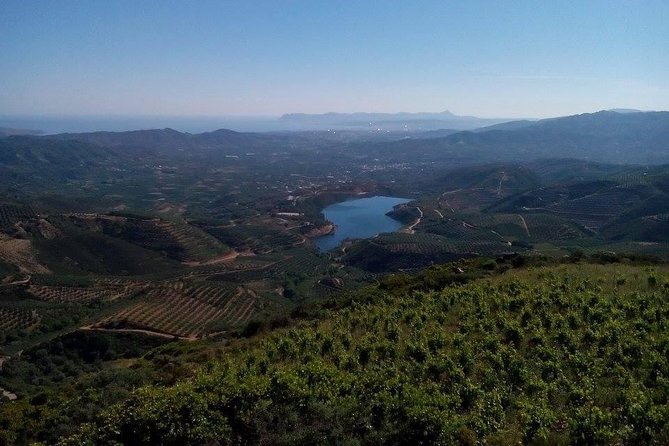 Chania Shore Excursion Off Road Vineyard and Winery Tour Half Day - The tasting experience: how to get more from five wines