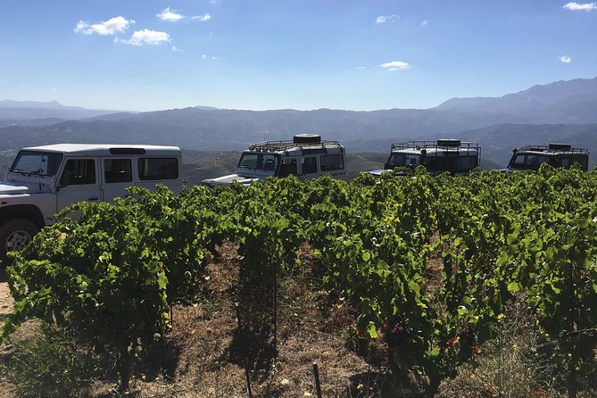 Chania Shore Excursion Off Road Vineyard and Winery Tour Half Day - Guides make or break the day