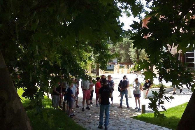 Chania Shore Excursion Off Road Vineyard and Winery Tour Half Day - Price and value: what you’re really paying for