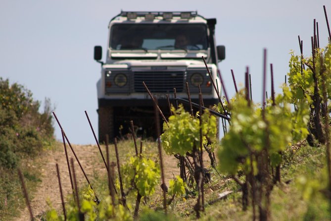 Chania Shore Excursion Off Road Vineyard and Winery Tour Half Day - Comfort tips before you book (this is not for everyone)