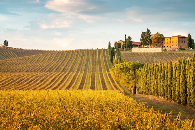 Chianti Experience Shore Excursion from Livorno Port - Castello di Montefioralle: where the medieval views do the talking