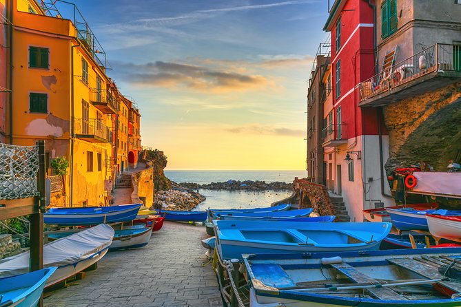 Cinqueterre and Pisa Shore Excursion from Livorno - Driver-guide expectations: great narration, but limited museum access