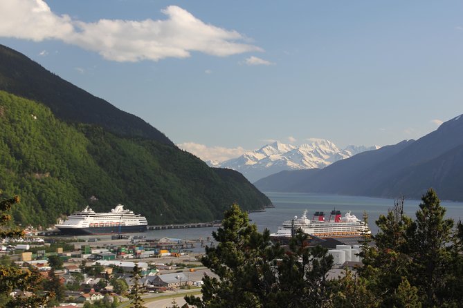 City and Mountain Summit Shore Excursion in Skagway - Key highlights to know before you go