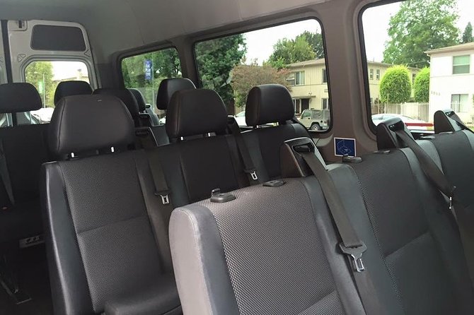City Highlight Shore Excursion - A luxury van that actually fits a short LA day