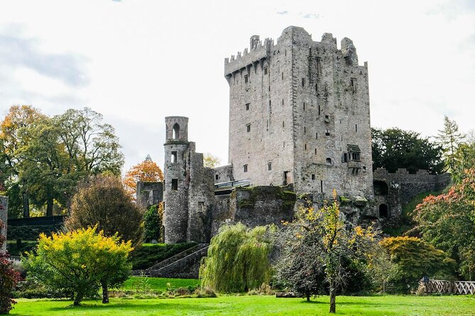 Cobh cruise excursion, Blarney, Cork & Kinsale. Car or Minibus. - Key things I’d plan around
