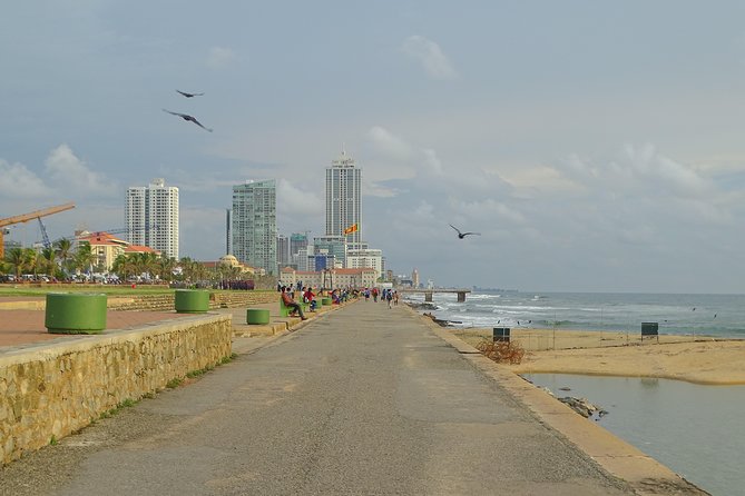Colombo Shore Excursion from Cruise Port – Private Small Group - Cruise-port Colombo, done the easy way