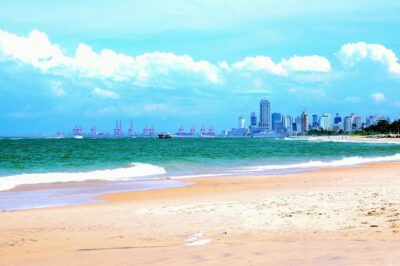 Colombo Shore Excursion from Cruise Port – Private Small Group - Where you meet: the Sri Lanka Ports Authority spot