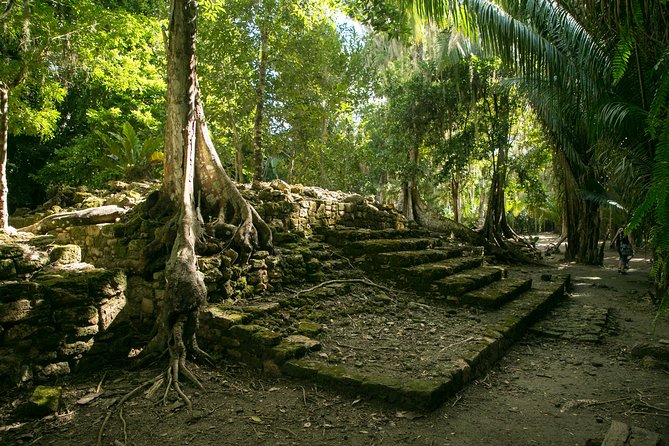Costa Maya Shore Excursion: Chacchoben Day Trip - From Casa Maya port to Chacchoben: why the timing works