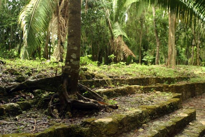 Costa Maya Shore Excursion: Chacchoben Day Trip - Meeting point reality check: find the right signs quickly