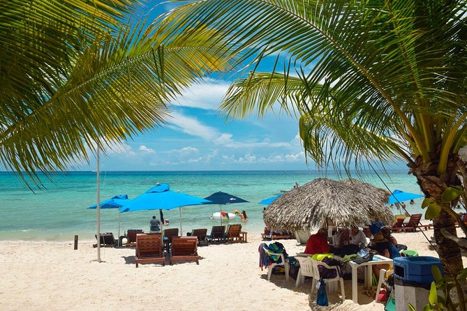 Cozumel Shore Excursion: 5-Hour Sightseeing Tour with Private Driver - Tequila tour at Mi Mexico Lindo: tastings plus melipona honey for kids