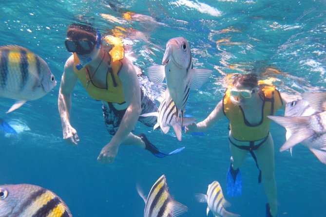Cozumel Shore Excursion: Playa Uvas Private Beach Pass - Guided snorkeling: reef rules, gear needs, and what to expect