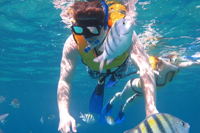 Cozumel Shore Excursion: Playa Uvas Private Beach Pass - Lunch and the 4-hour open bar: what “all-inclusive” means here
