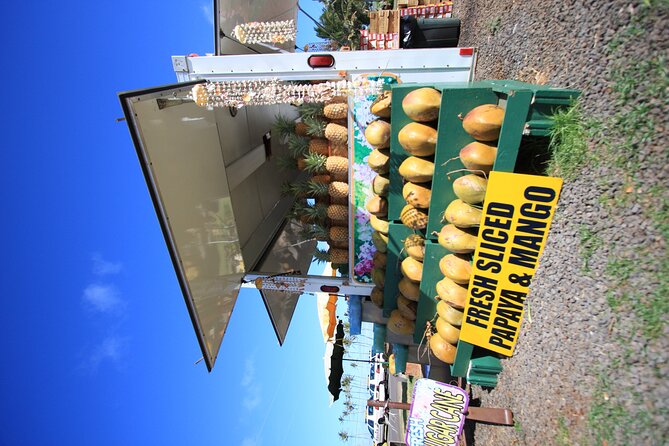Cruise Ship Shore Excursion: Kauai Movie Sites Tour - Hanamaulu and Opaeka’a Falls: Where the Tour Gets Movie-Specific