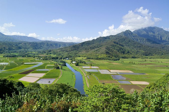 Cruise Ship Shore Excursion: Kauai Movie Sites Tour - The In-Between Stops: Towns and Roadside Views That Still Matter