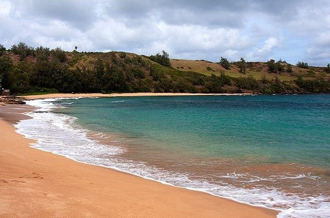 Cruise Ship Shore Excursion: Kauai Movie Sites Tour - Lunch Break on Kauai: Burgers, Fries, and Gluten-Free Choices