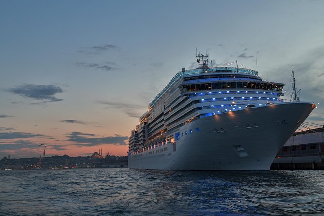 Cruise Shore Excursion - Best of Istanbul - Best First Taste of Istanbul’s Old City, Without the Guesswork