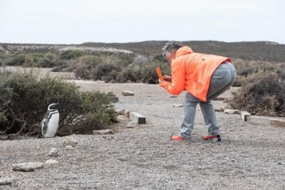 Cruise Shore Excursion Ea San Lorenzo Peninsula Valdes - Patagonia - Argentina - Estancia San Lorenzo: The Magellanic penguin rookery moment