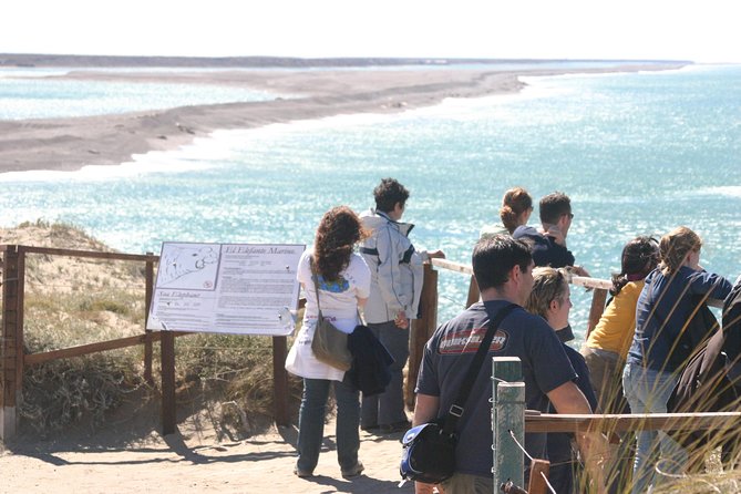 Cruise Shore Excursion Peninsula Valdes - Pto Madryn - Patagonia - Argentina - Guides and drivers: where the experience can really jump