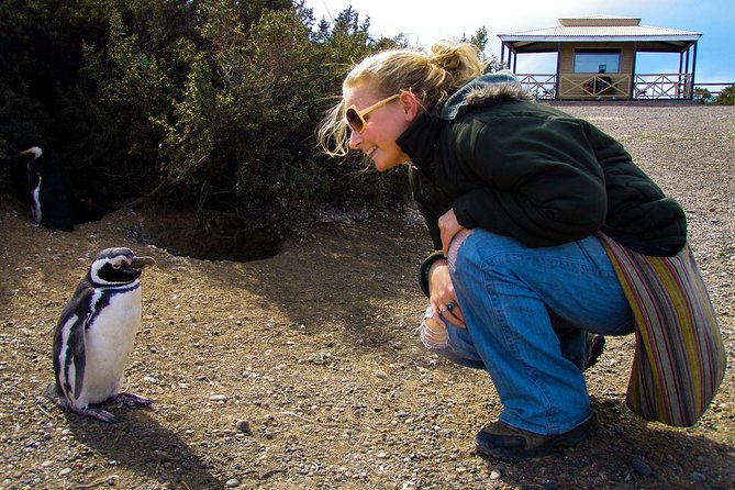 Cruise Shore Excursion Punta Tombo with Boxlunch from Pto Madryn - Punta Tombo is the main event: why this penguin reserve is worth the trek