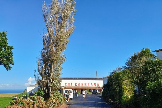 Cruise Travellers : Furnas Volcano & Terra Nostra Thermal Pool - Terra Nostra Thermal Pool: Botanical Garden Calm Meets Hot Water Therapy