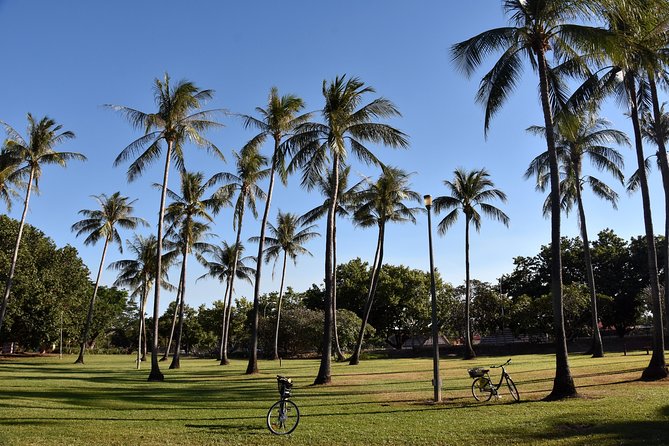 Darwin Shore Excursion: Hop-on Hop-off Bus Tour - Botanic Gardens: your heat escape and a calmer pace