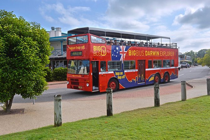 Darwin Shore Excursion: Hop-on Hop-off Bus Tour - The comfort trade-off: open-top views vs Top End heat
