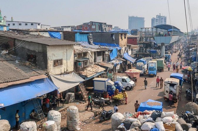 Dharavi Slum Tour with Home Visit Group Cruise Excursion - Who should book this tour, and who should skip it