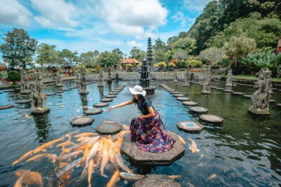 Discover Bali : Shore Excursion from Benoa Port with Free Wi-Fi - Private Transport Details That Make the Day Easier