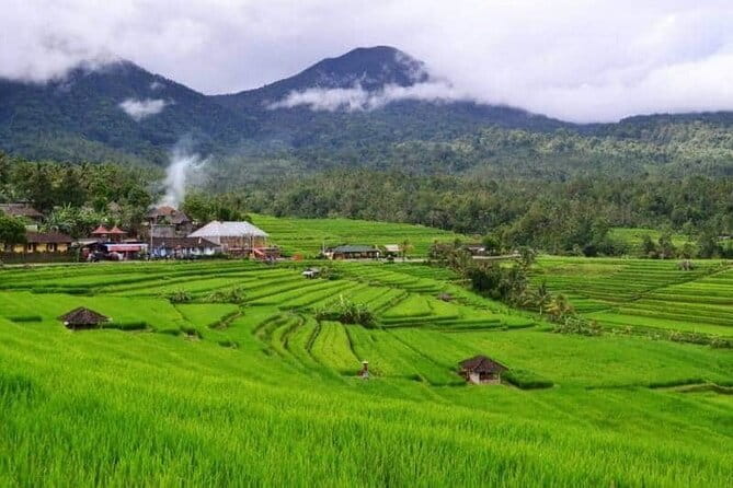 Discover Bali : Shore Excursion from Benoa Port with Free Wi-Fi - Stop 3: Tirta Empul Temple and the Meaning of Holy Spring Water