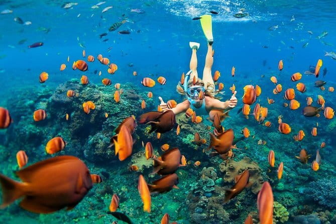 Discover Bali : Shore Excursion from Benoa Port with Free Wi-Fi - Timing, Traffic, and Why Flexibility Keeps You Sane