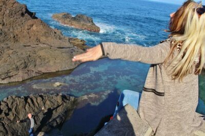 Discovering Northwest Madiera Shore Excursion w/ Harbour pickup - Price and What Your Money Covers
