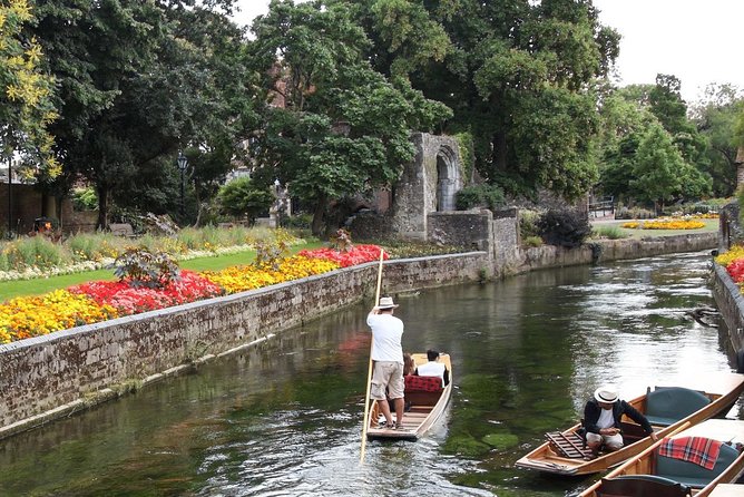 Dover Shore Excursion:Post-Cruise Tour to London via Canterbury and Leeds Castle - Who This Dover-to-London Day Trip Fits Best