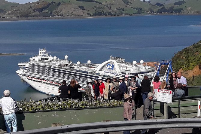 Dunedin Nature & City Tour – Full Day Cruise Excursion - Key highlights that make this tour work well