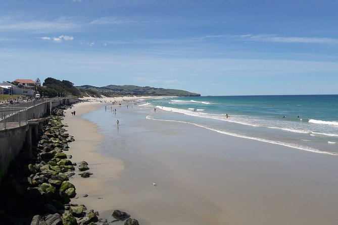 Dunedin Nature & City Tour – Full Day Cruise Excursion - The Dunedin city core: Octagon, railway station, and Baldwin Street