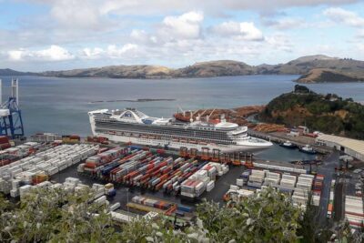 Dunedin Nature & City Tour – Full Day Cruise Excursion - Gardens and beaches: what you gain (and what can shift)
